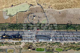 India Wild Elephant Killed