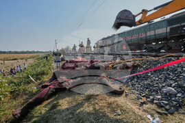 India Elephants Accident