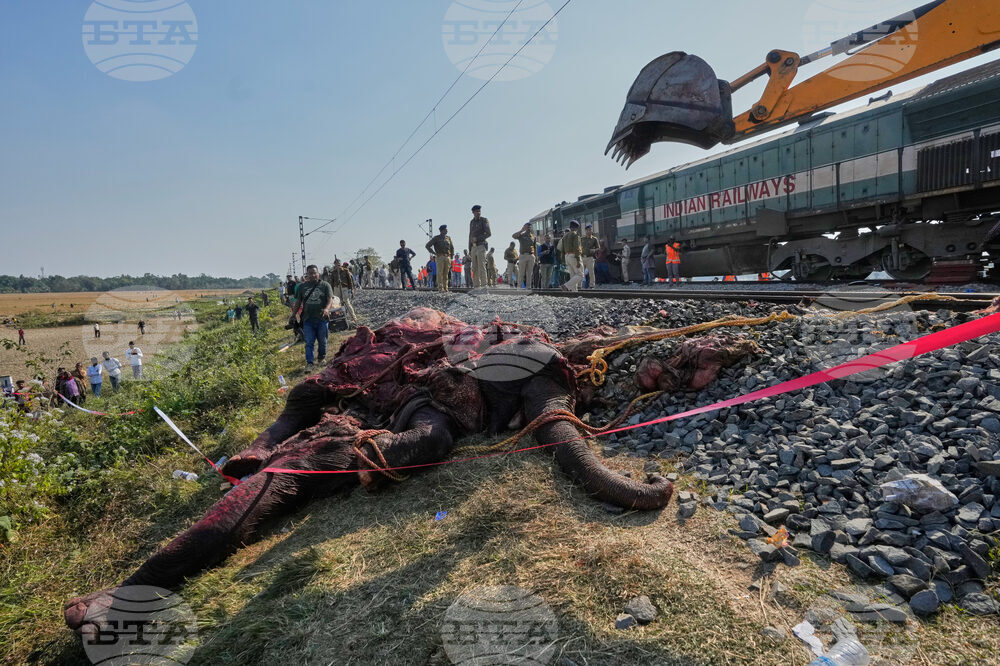 India Elephants Accident