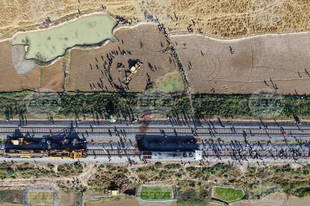 India Elephants Accident