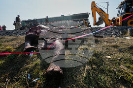 India Elephants Accident