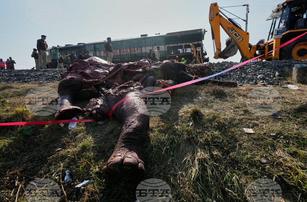 India Elephants Accident