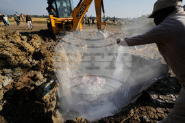 India Elephants Accident