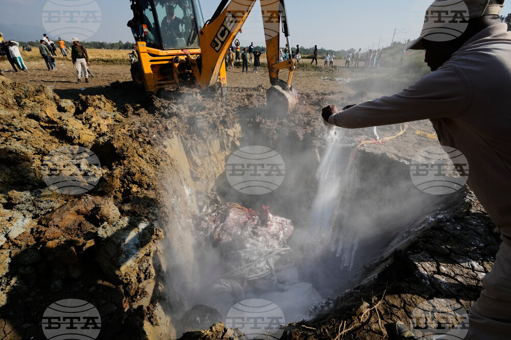 India Elephants Accident
