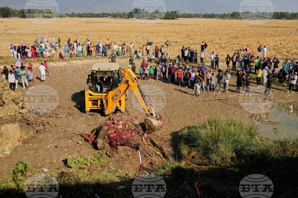 India Elephants Accident