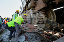India Elephants Accident