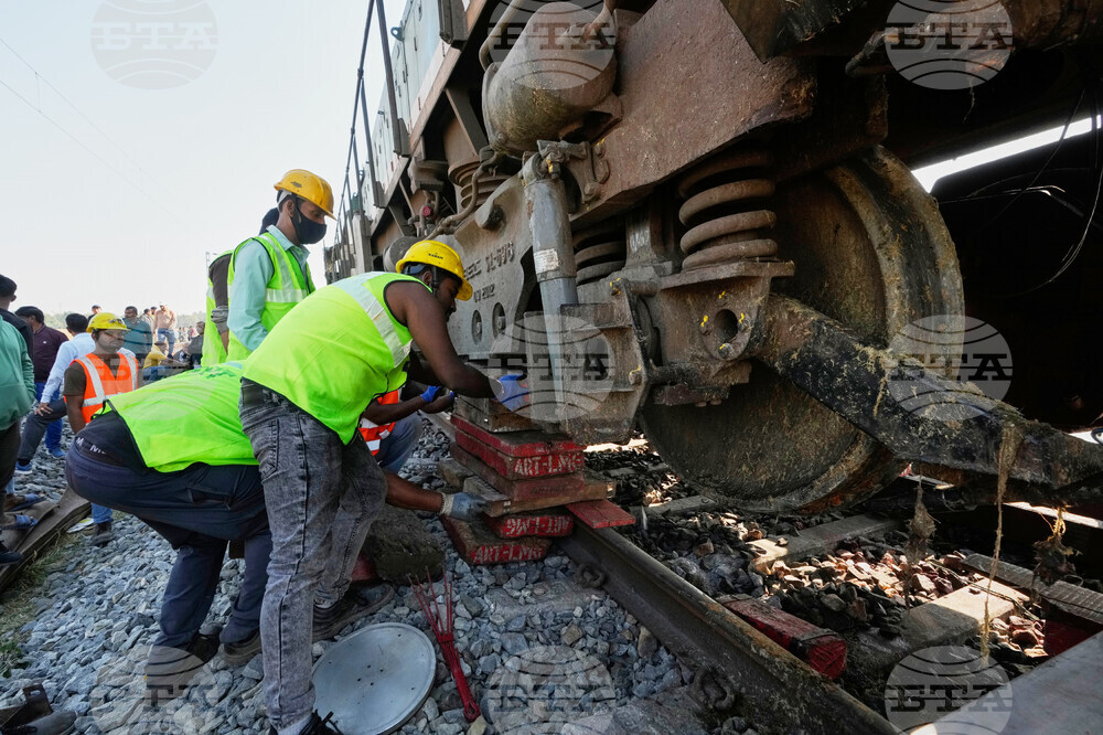 India Elephants Accident