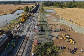 India Elephants Accident