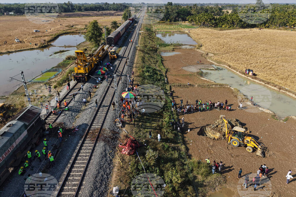 India Elephants Accident