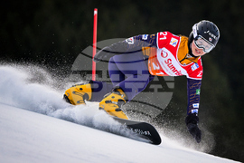 Switzerland Snowboarding