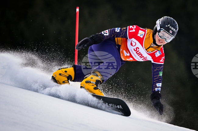 Switzerland Snowboarding