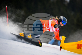 Switzerland Snowboarding