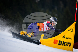 Switzerland Snowboarding