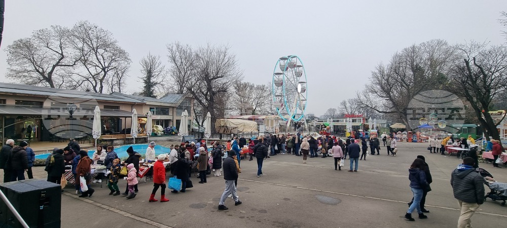 Шумен - кулинарна изложба - празник