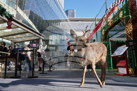 APTOPIX China Daily LIfe