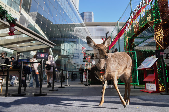 APTOPIX China Daily LIfe