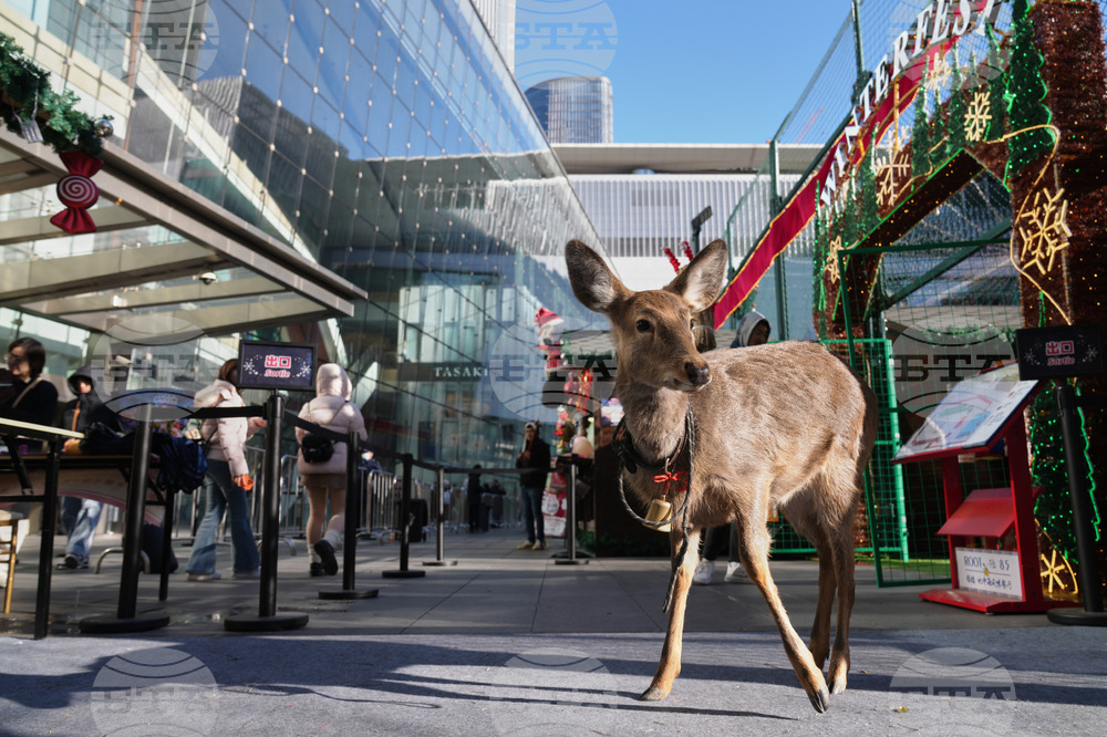 APTOPIX China Daily LIfe