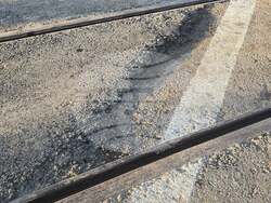 Снимка: ПП "Спаси София"