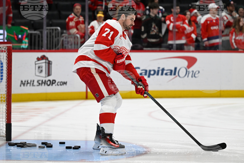 Red Wings Capitals Hockey