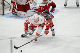 Red Wings Capitals Hockey