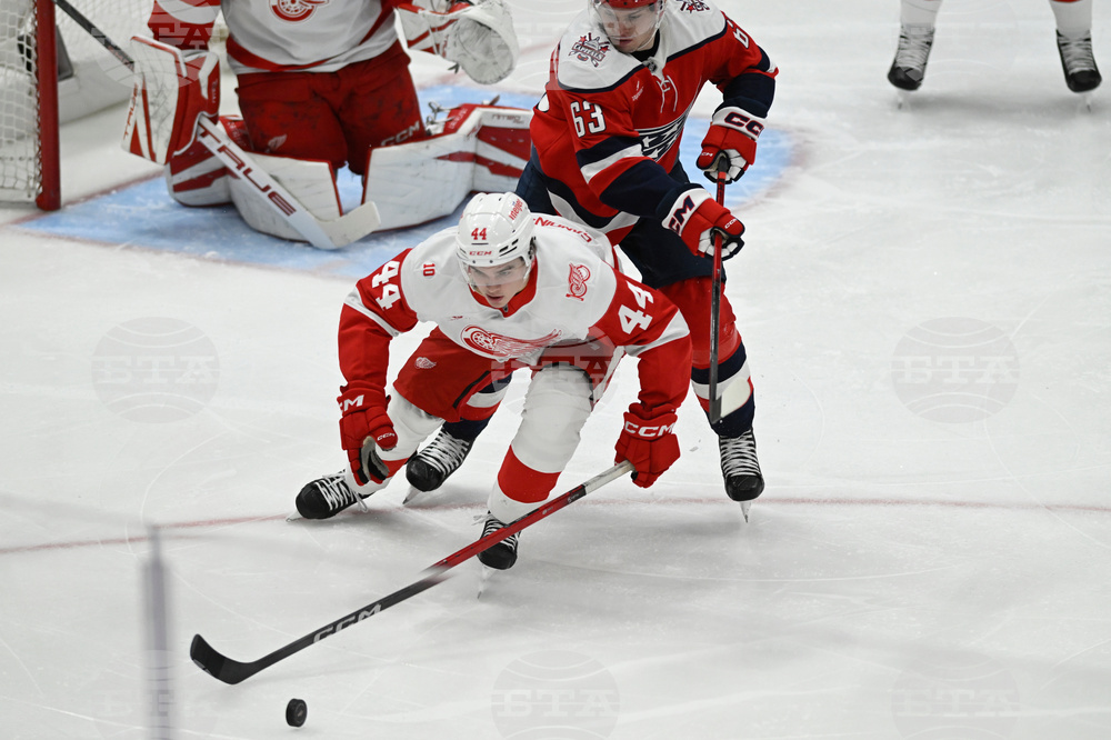 Red Wings Capitals Hockey