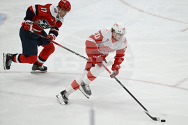 Red Wings Capitals Hockey