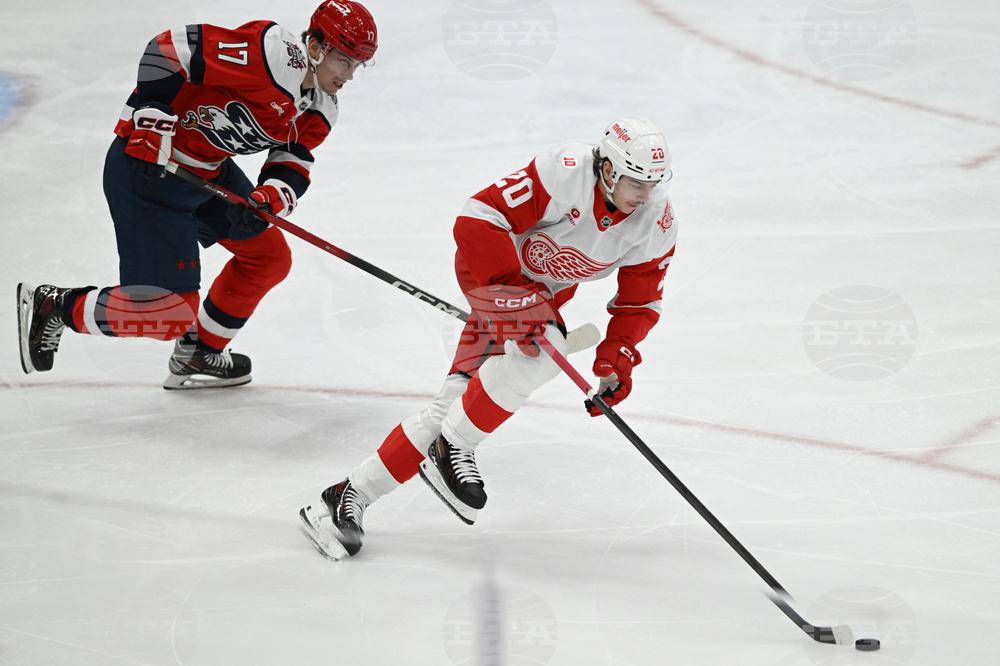 Red Wings Capitals Hockey