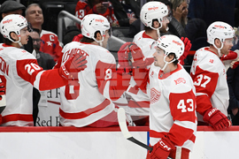 Red Wings Capitals Hockey