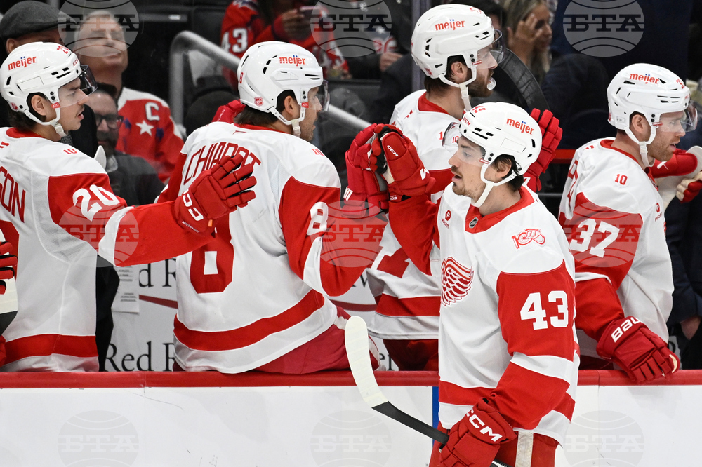 Red Wings Capitals Hockey