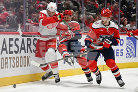 Red Wings Capitals Hockey