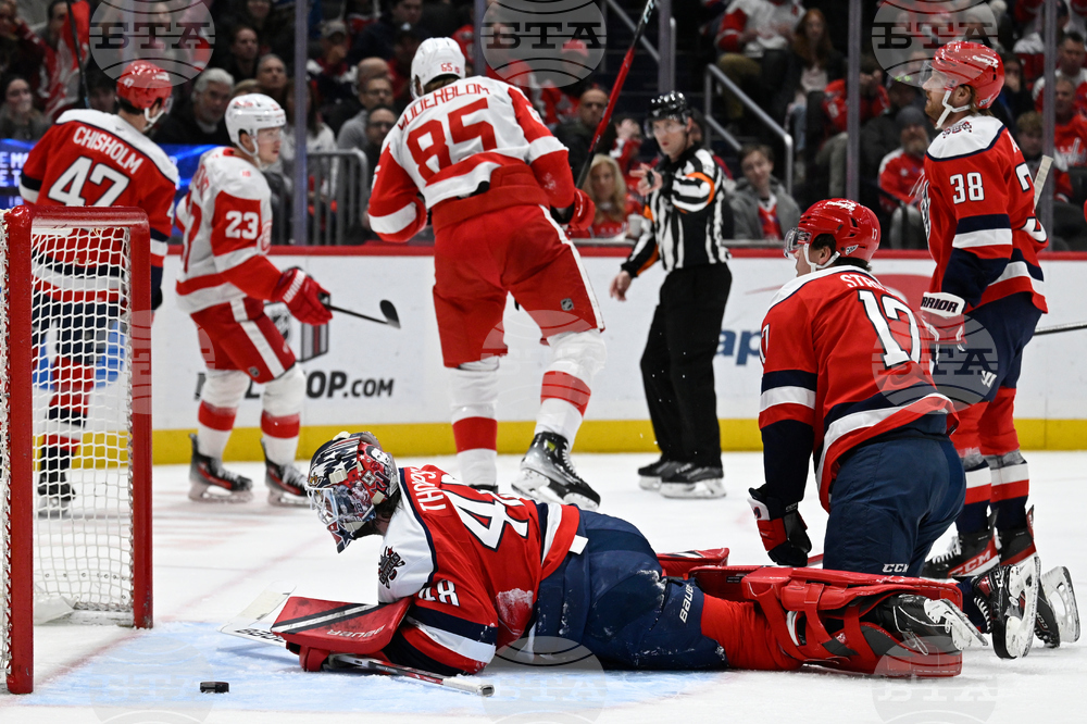 Red Wings Capitals Hockey