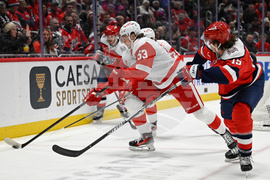 Red Wings Capitals Hockey