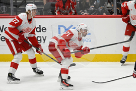 Red Wings Capitals Hockey