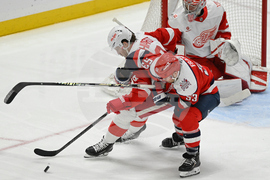 Red Wings Capitals Hockey