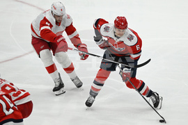 Red Wings Capitals Hockey