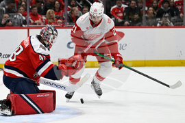 Red Wings Capitals Hockey