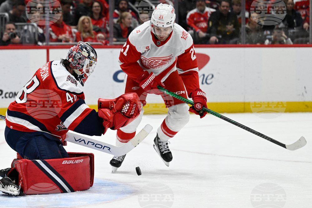 Red Wings Capitals Hockey