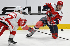 Red Wings Capitals Hockey