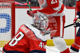 Red Wings Capitals Hockey