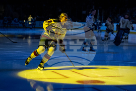 PWHL Victoire Goldeneyes Hockey