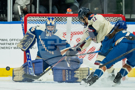 PWHL Victoire Goldeneyes Hockey