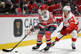 Red Wings Capitals Hockey