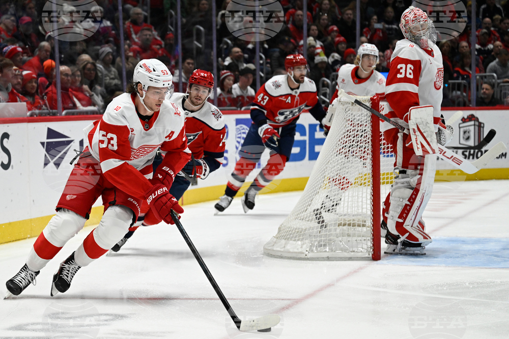 Red Wings Capitals Hockey