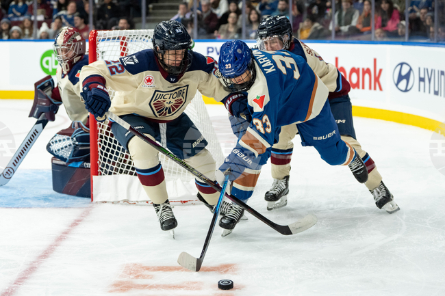 Victoire Goldeneyes Hockey