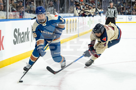 PWHL Victoire Goldeneyes Hockey