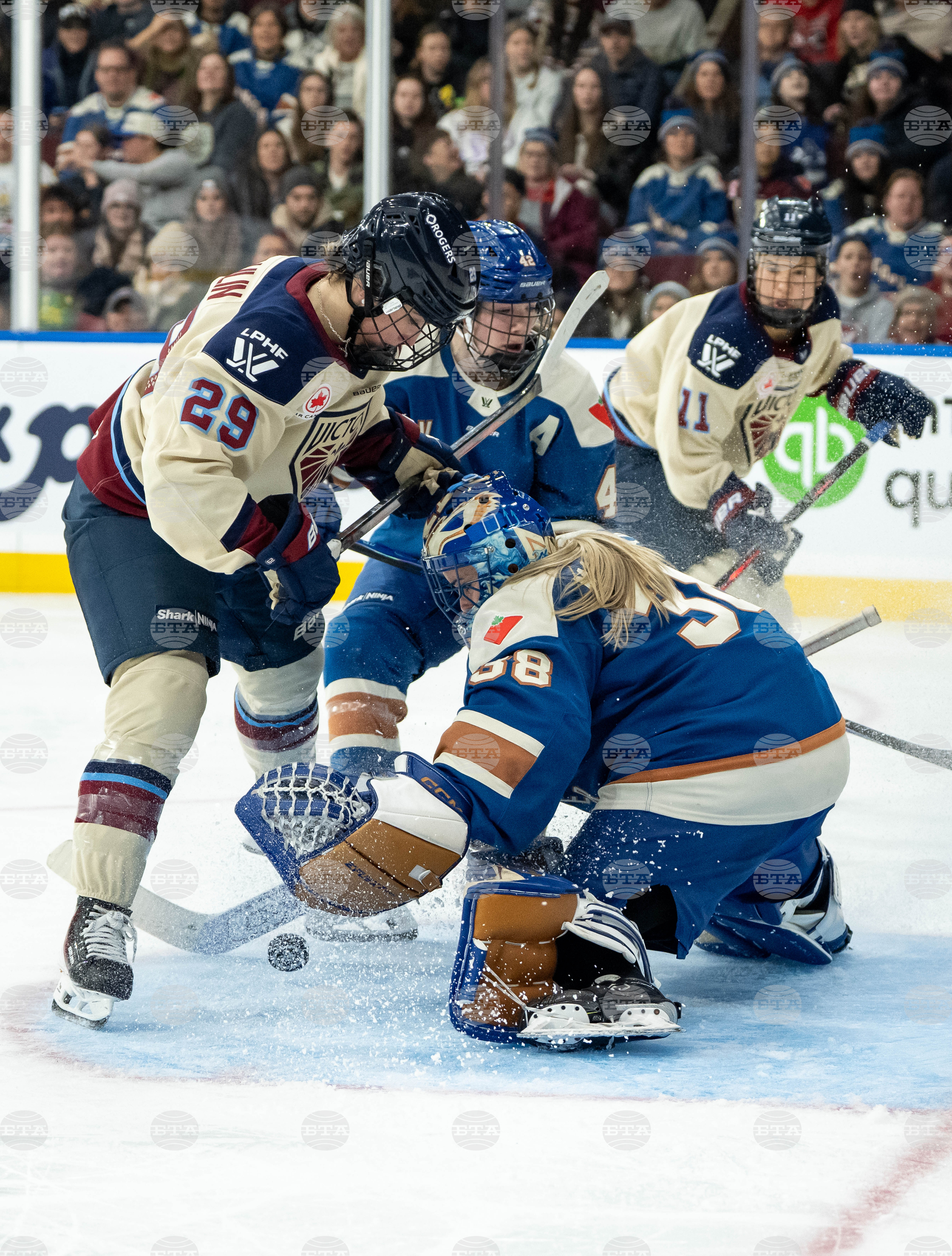 PWHL Victoire Goldeneyes Hockey