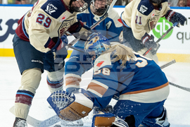 PWHL Victoire Goldeneyes Hockey