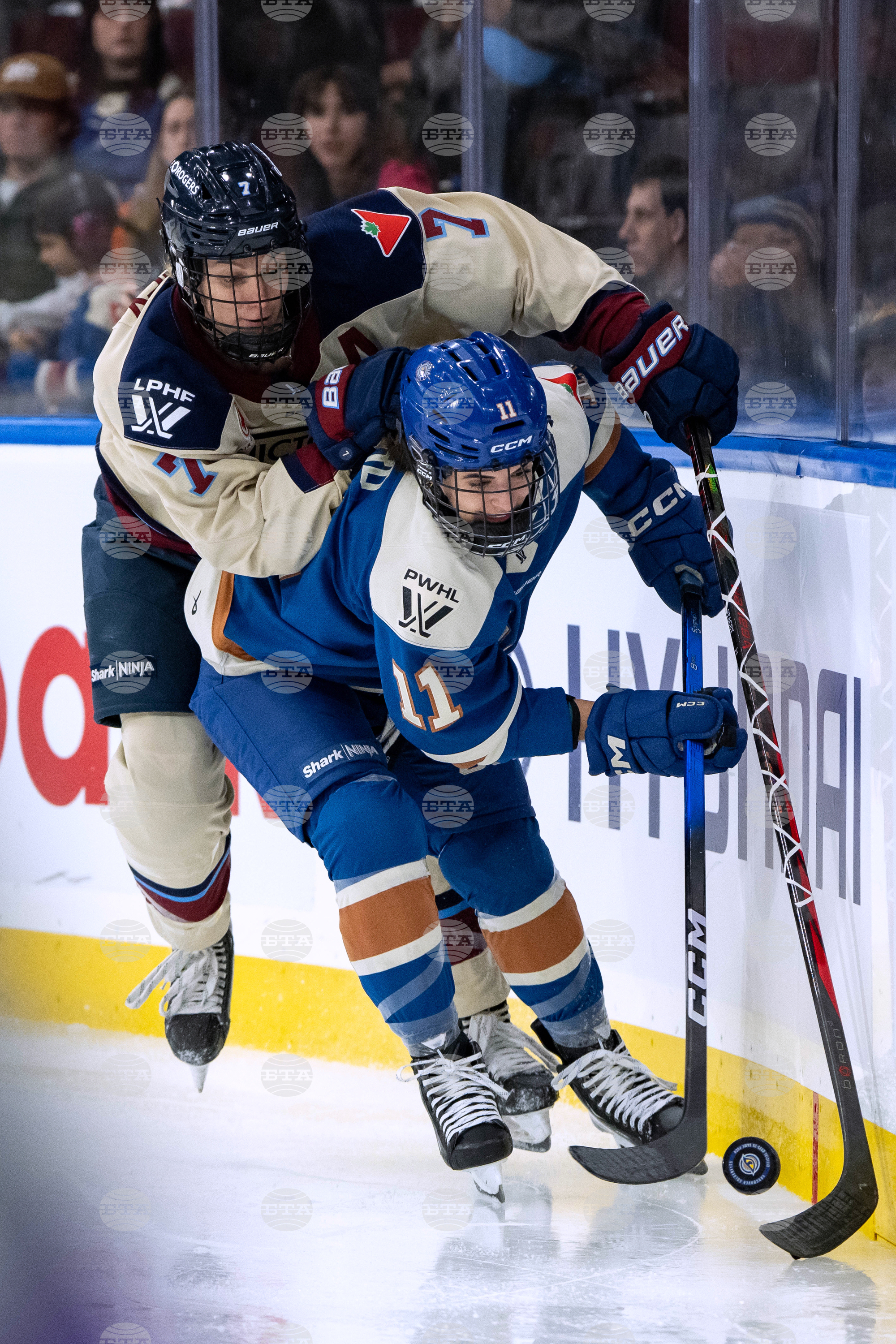 PWHL Victoire Goldeneyes Hockey