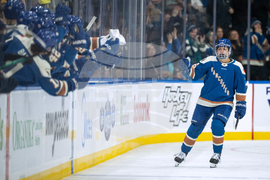 PWHL Victoire Goldeneyes Hockey