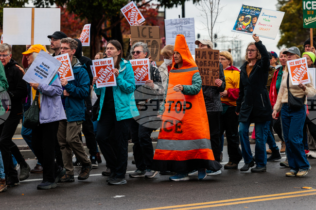 Federal Enforcement Immigration California